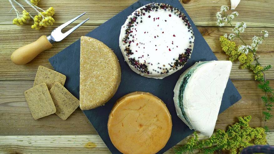 Vegan Cheese Ban