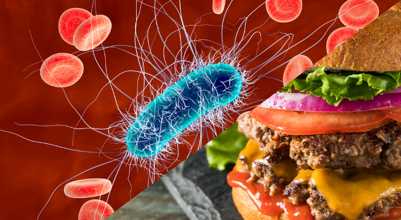 E. Coli Outbreak